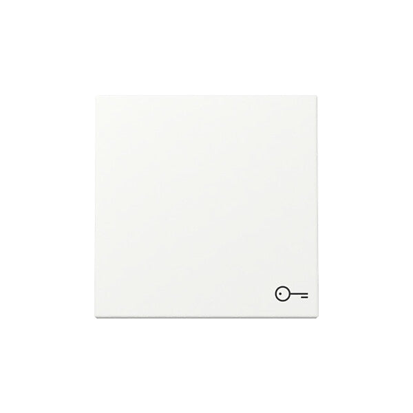 Gira Wippe Symb. Tür Reinweiß m 328727